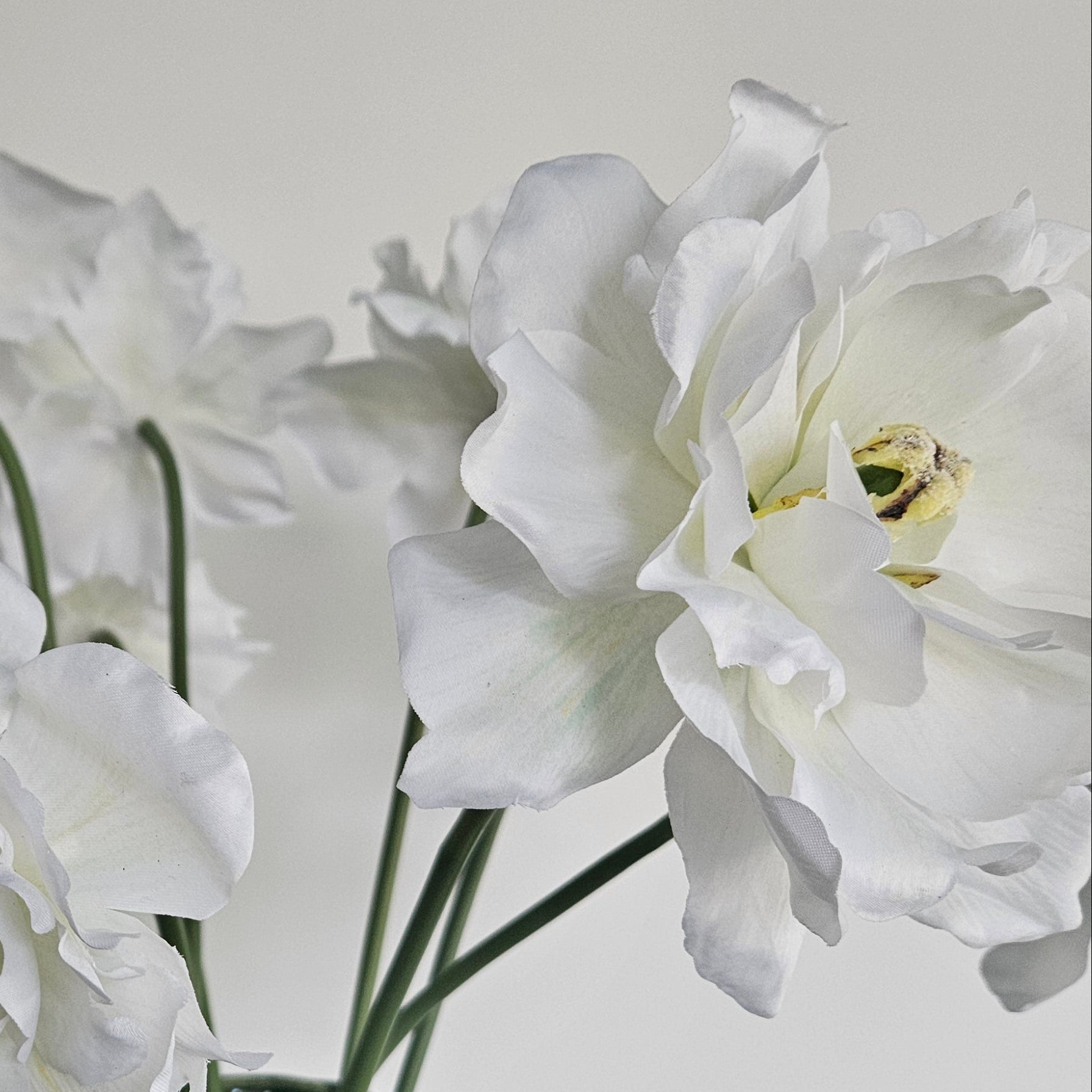 Céleste Large mit Vase