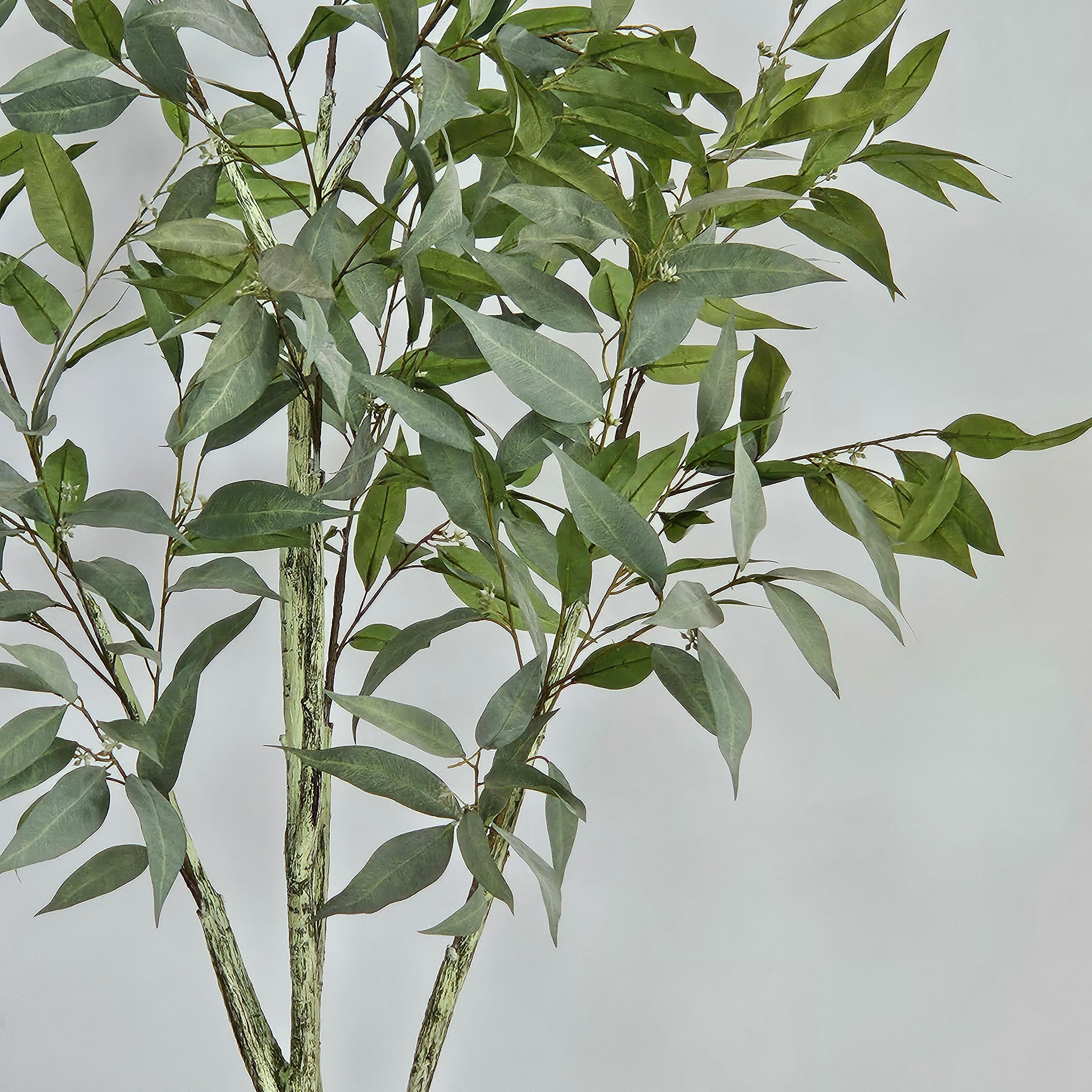 Groen & Pot Eucalyptusboom - Large