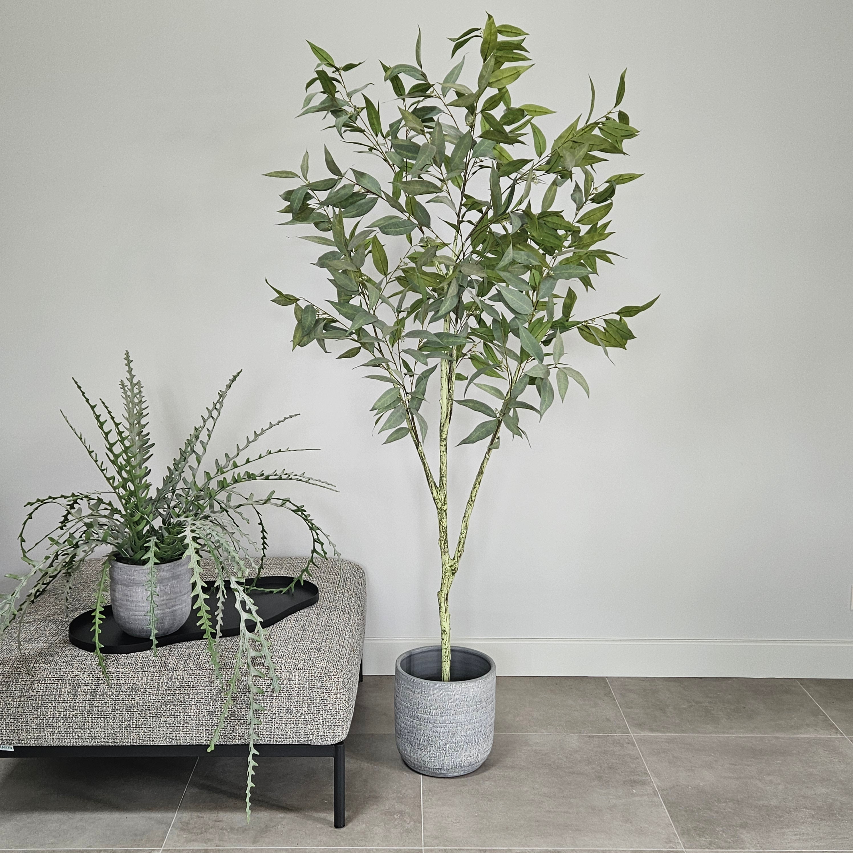 Groen & Pot Eucalyptusboom - Large