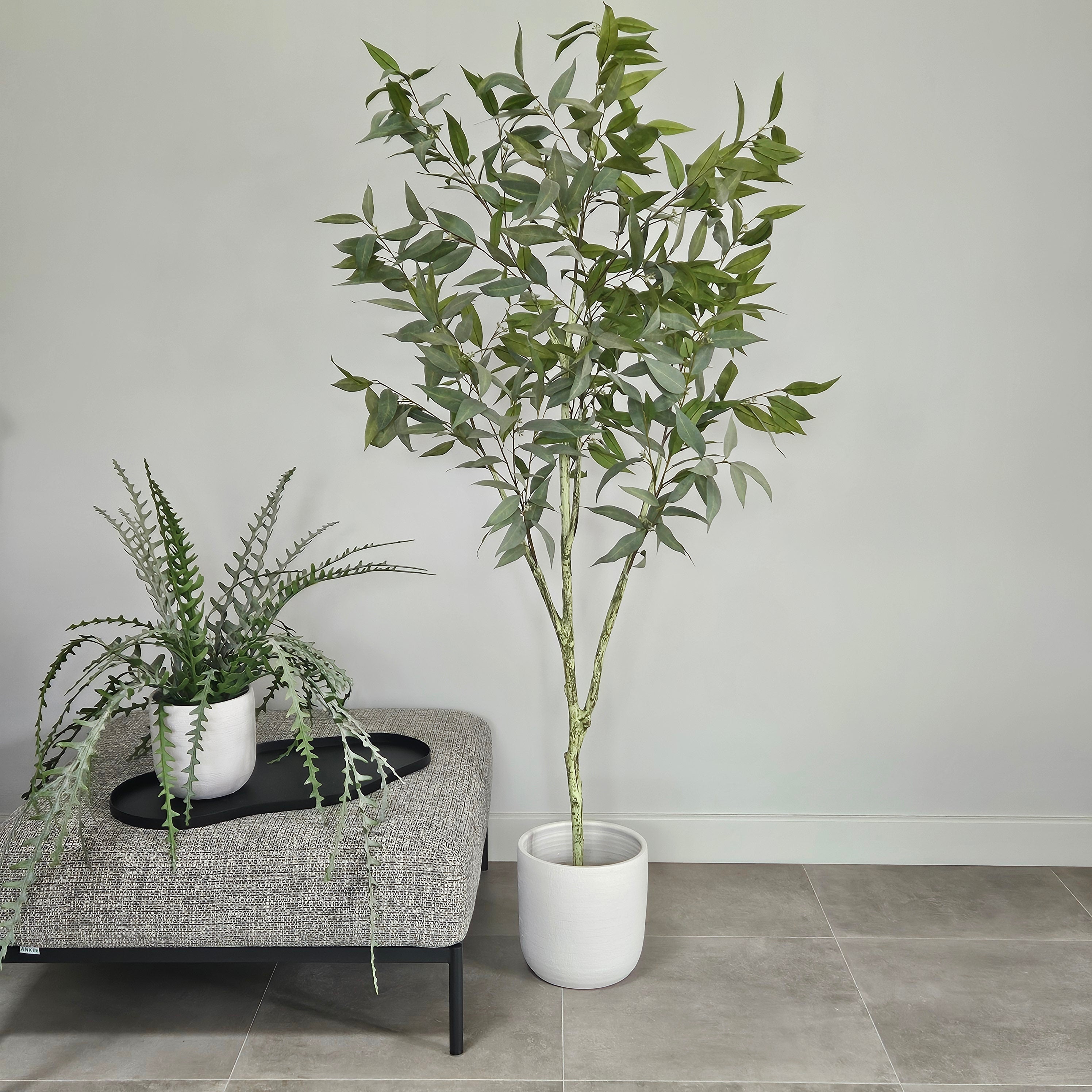 Groen & Pot Eucalyptusboom - Large