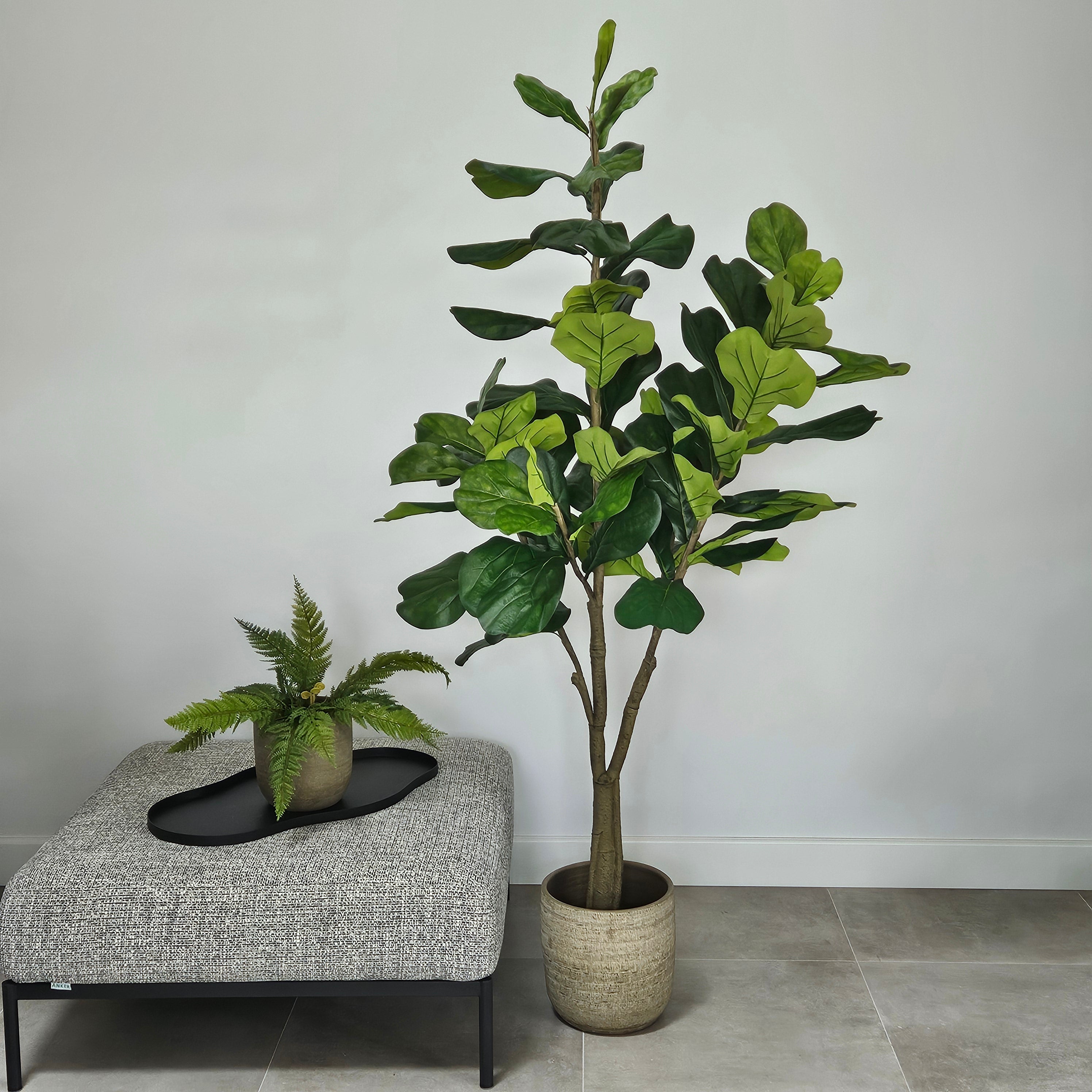Groen & Pot Ficus - Large
