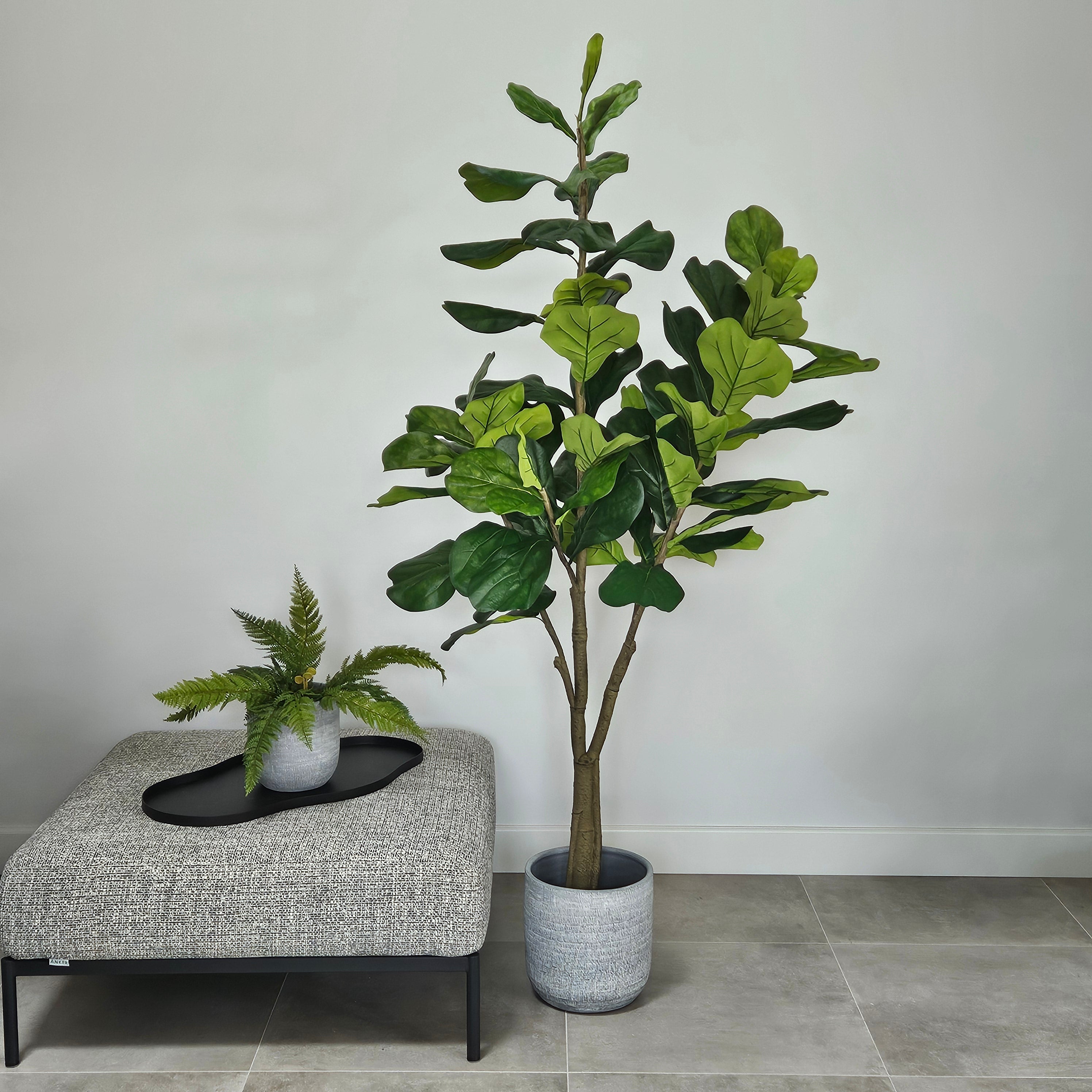 Groen & Pot Ficus - Large
