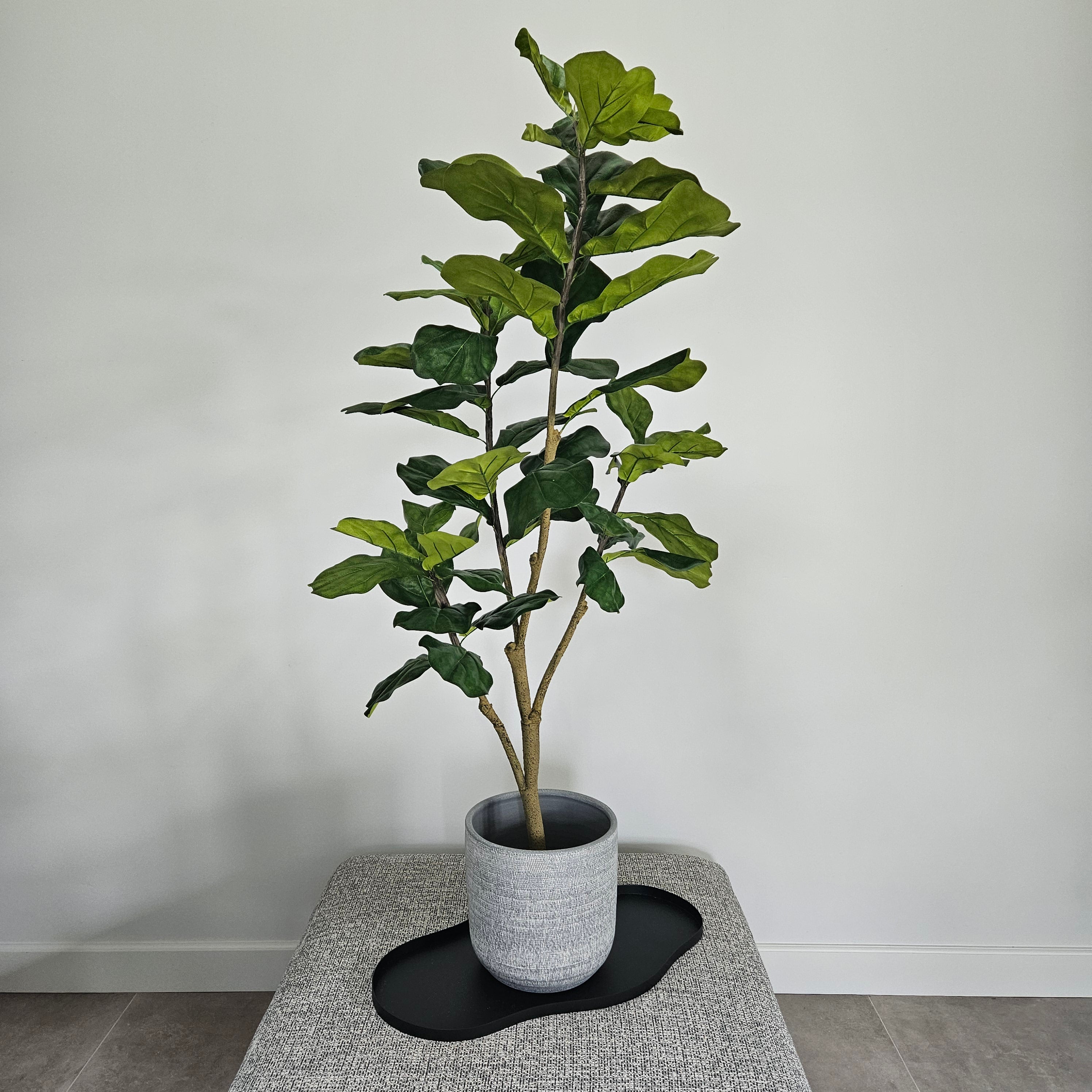 Groen & Pot Ficus - Medium
