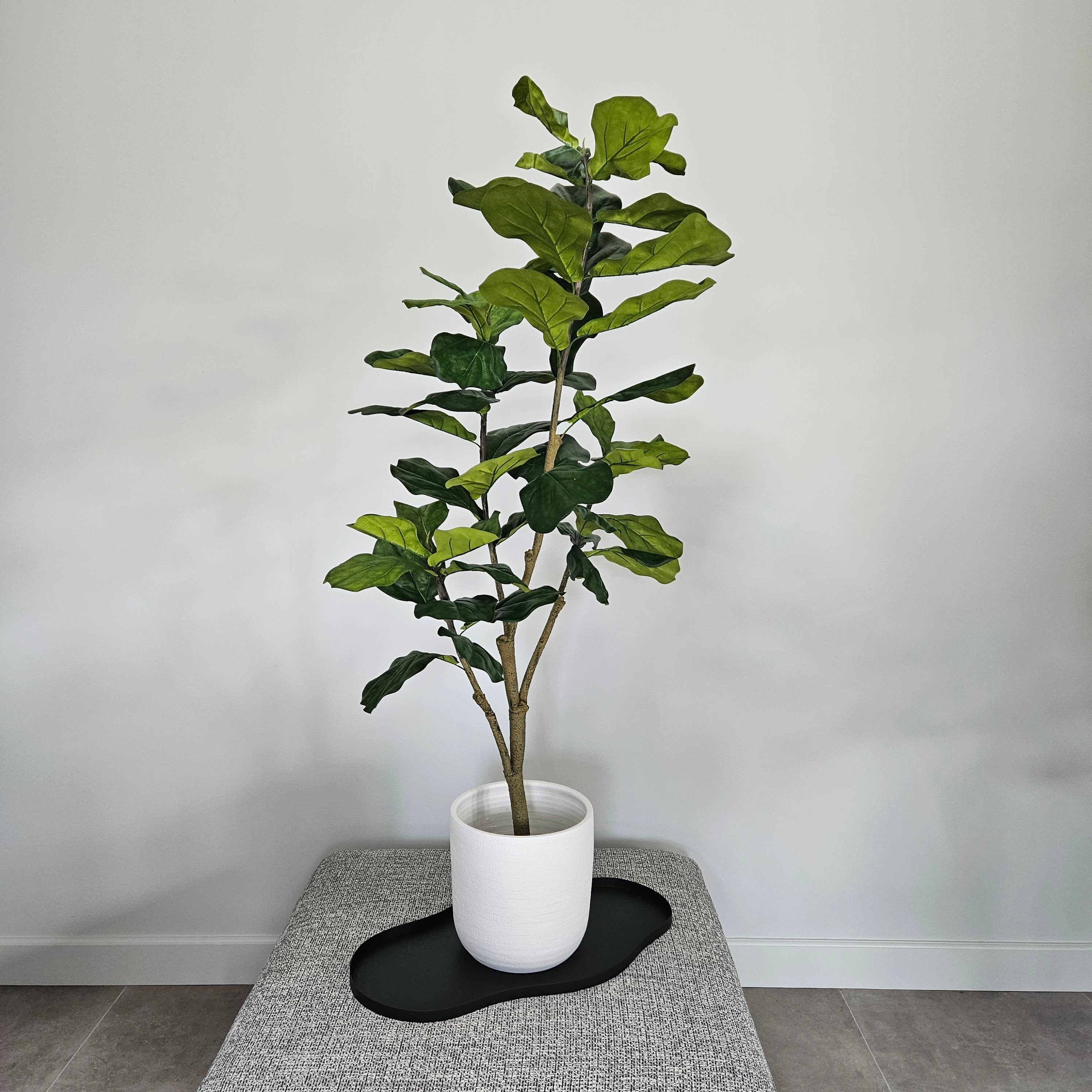 Groen & Pot Ficus - Medium