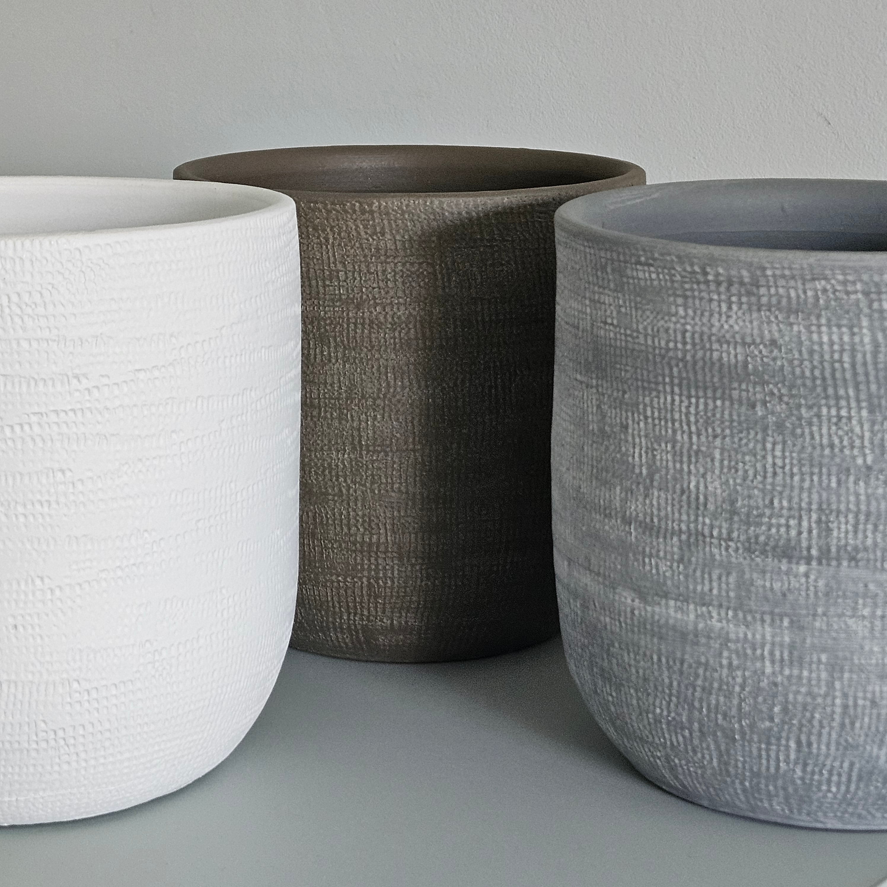 Groen & Pot Caladium Green - Small