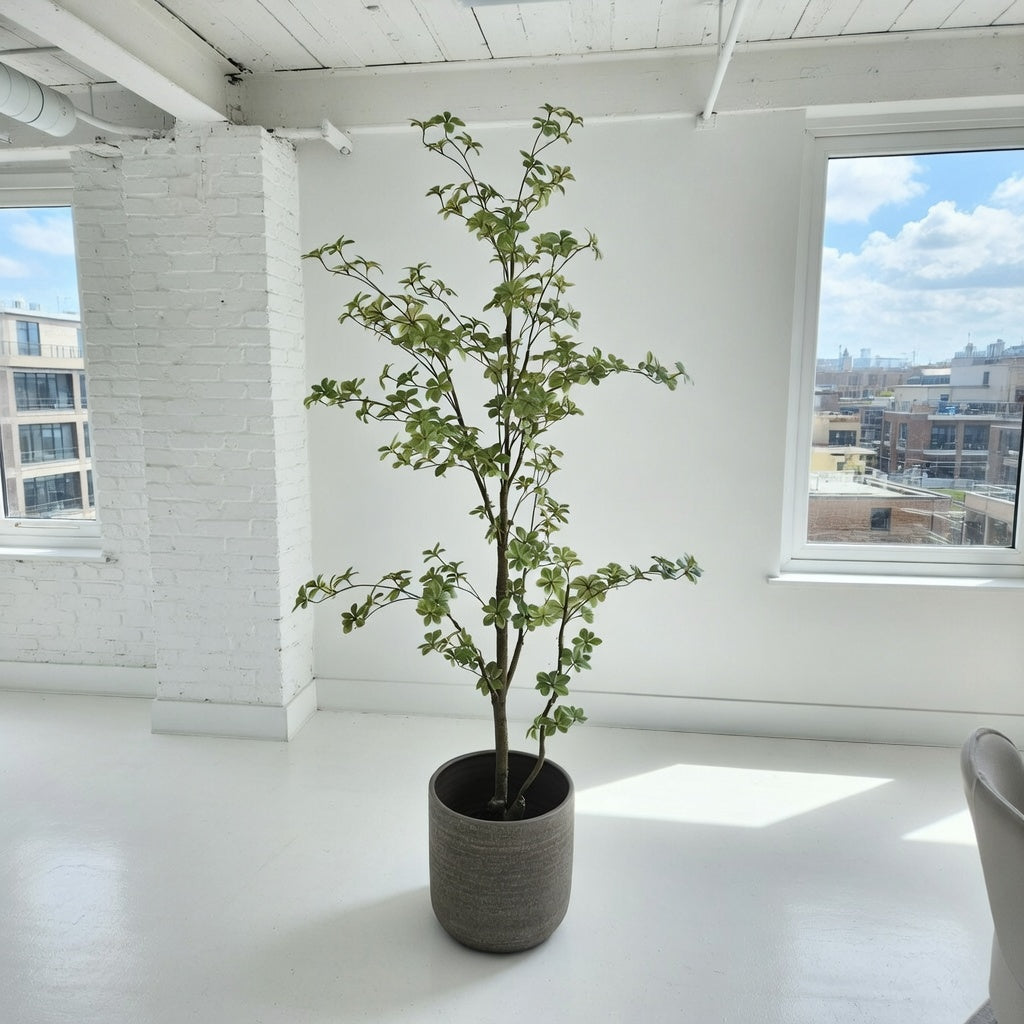 Groen & Pot Tropaeolum - Large