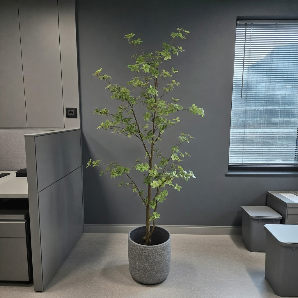 Groen & Pot Tropaeolum - Large