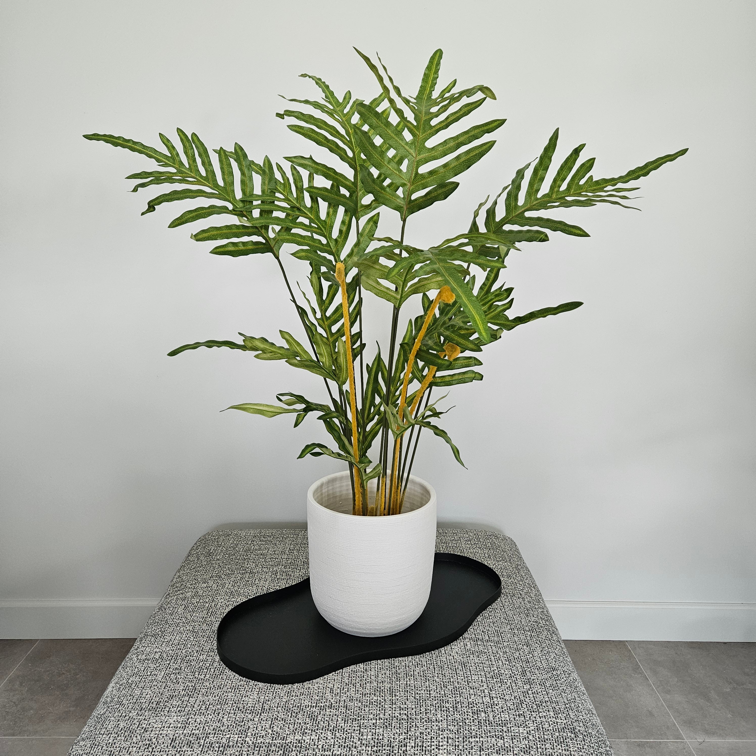 Groen & Pot Varen - Medium