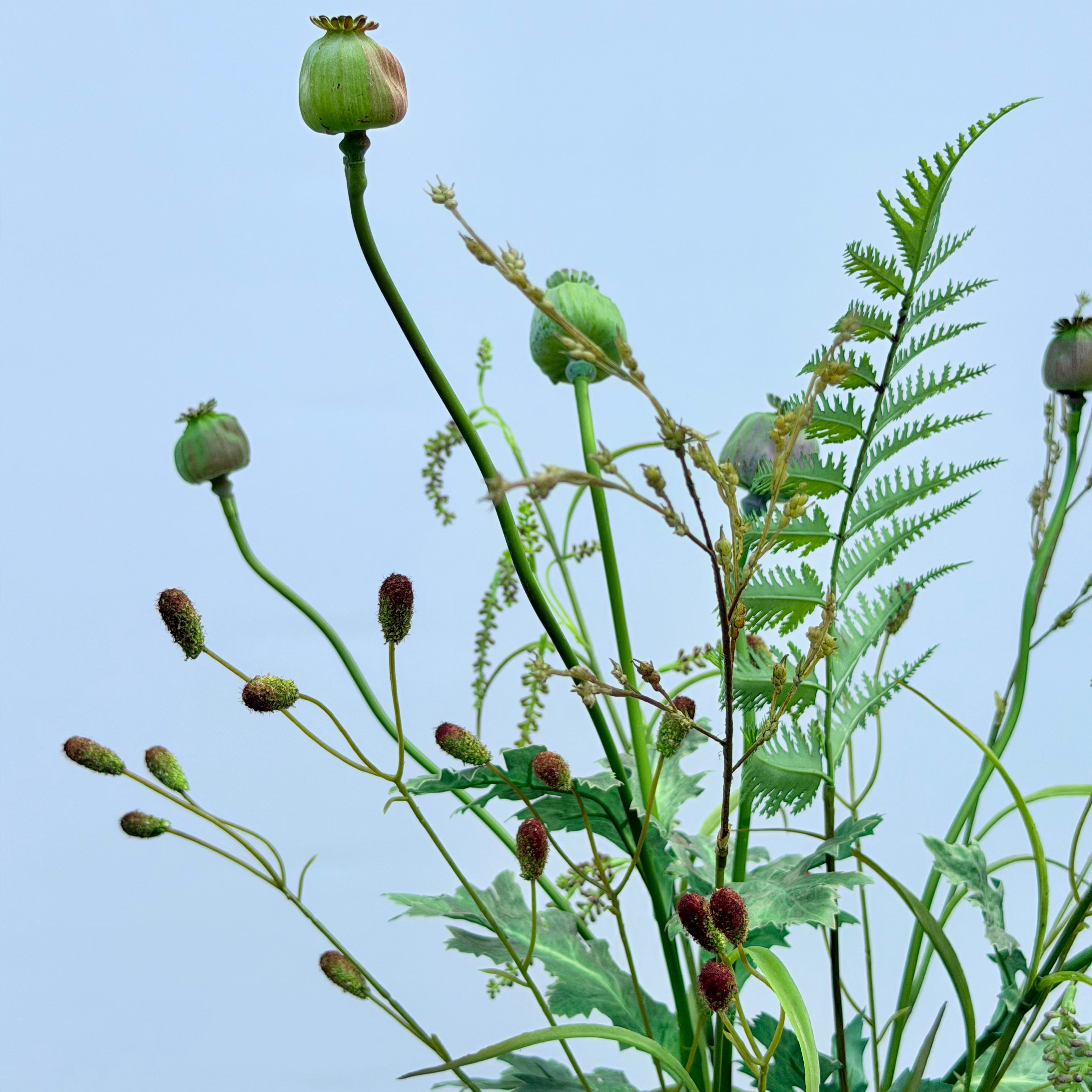 Rune Medium – Wild Elegance Collection inklusive Vase