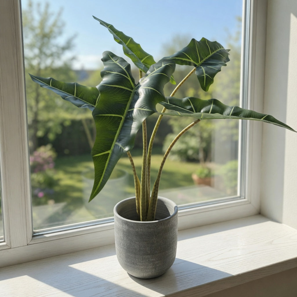 Groen & Pot Alocacia - Small