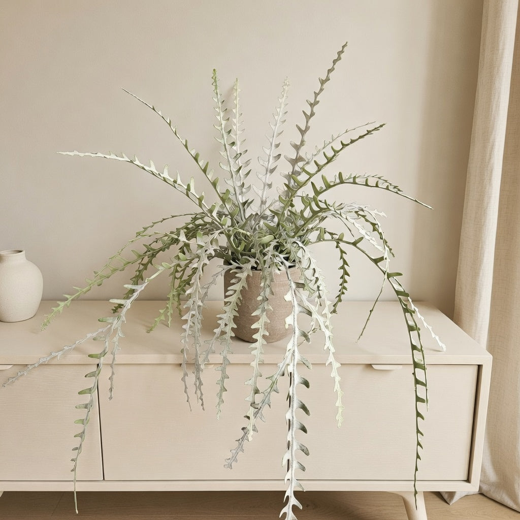 Groen & Pot Epiphyllum - Small