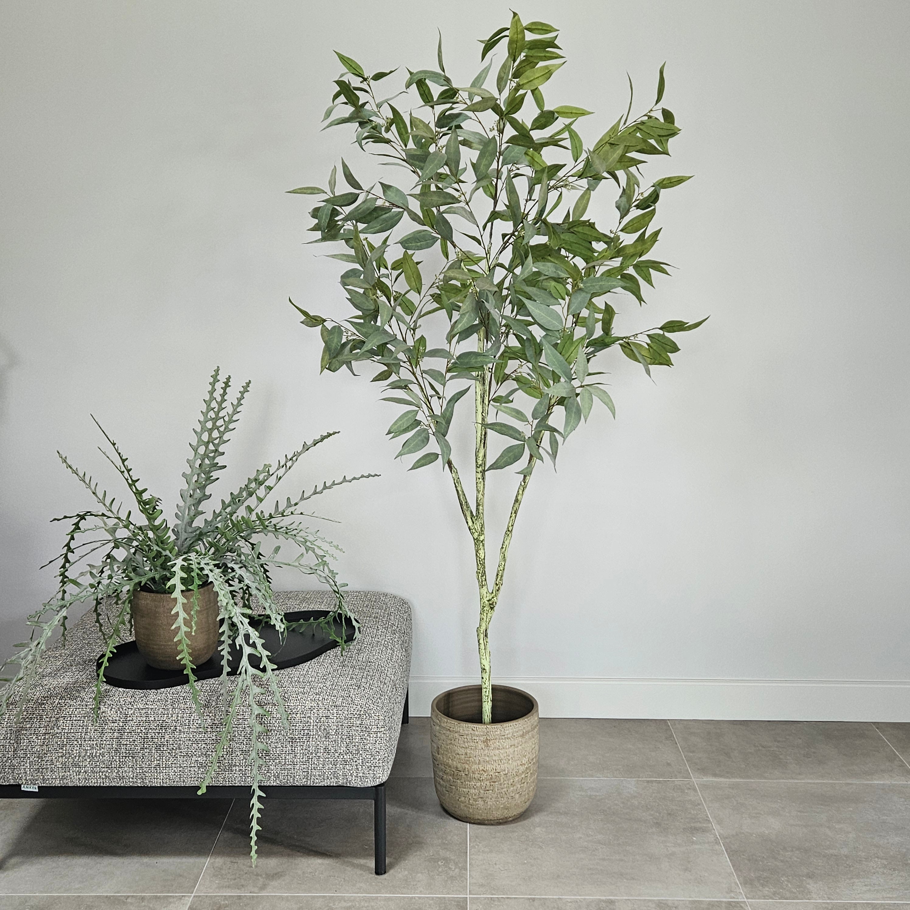 Groen & Pot Eucalyptusboom - Large