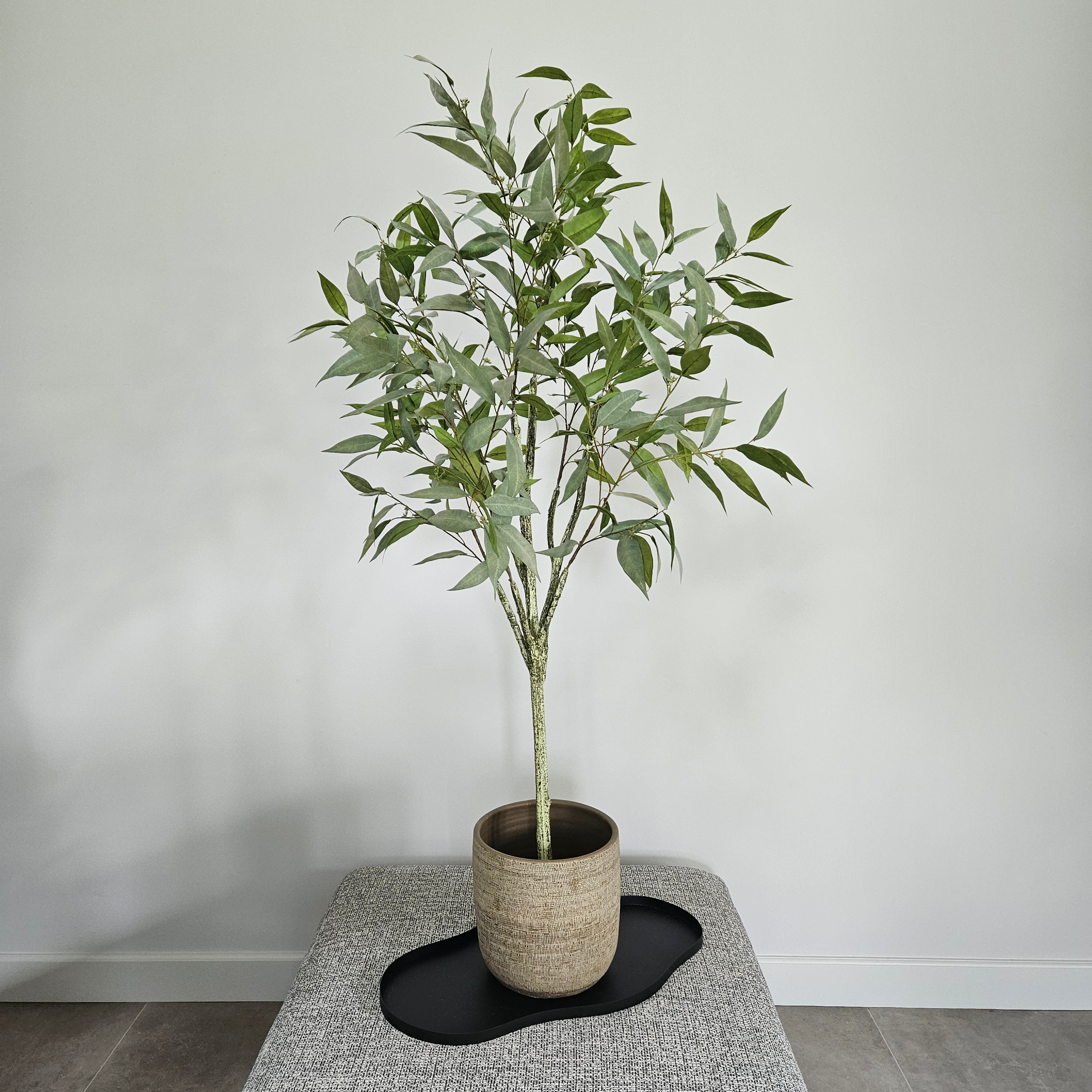 Groen & Pot Eucalyptusboom - Medium