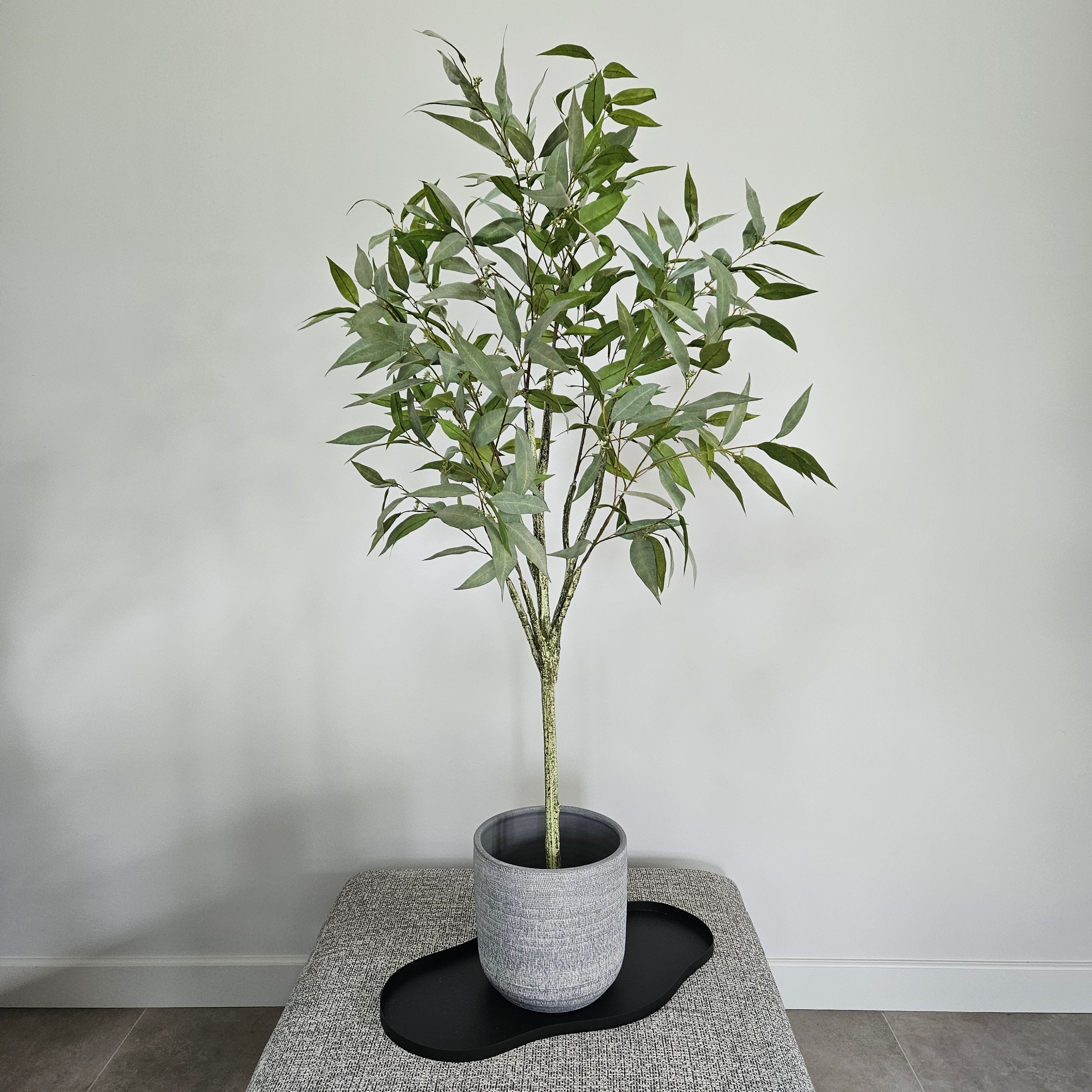 Groen & Pot Eucalyptusboom - Medium