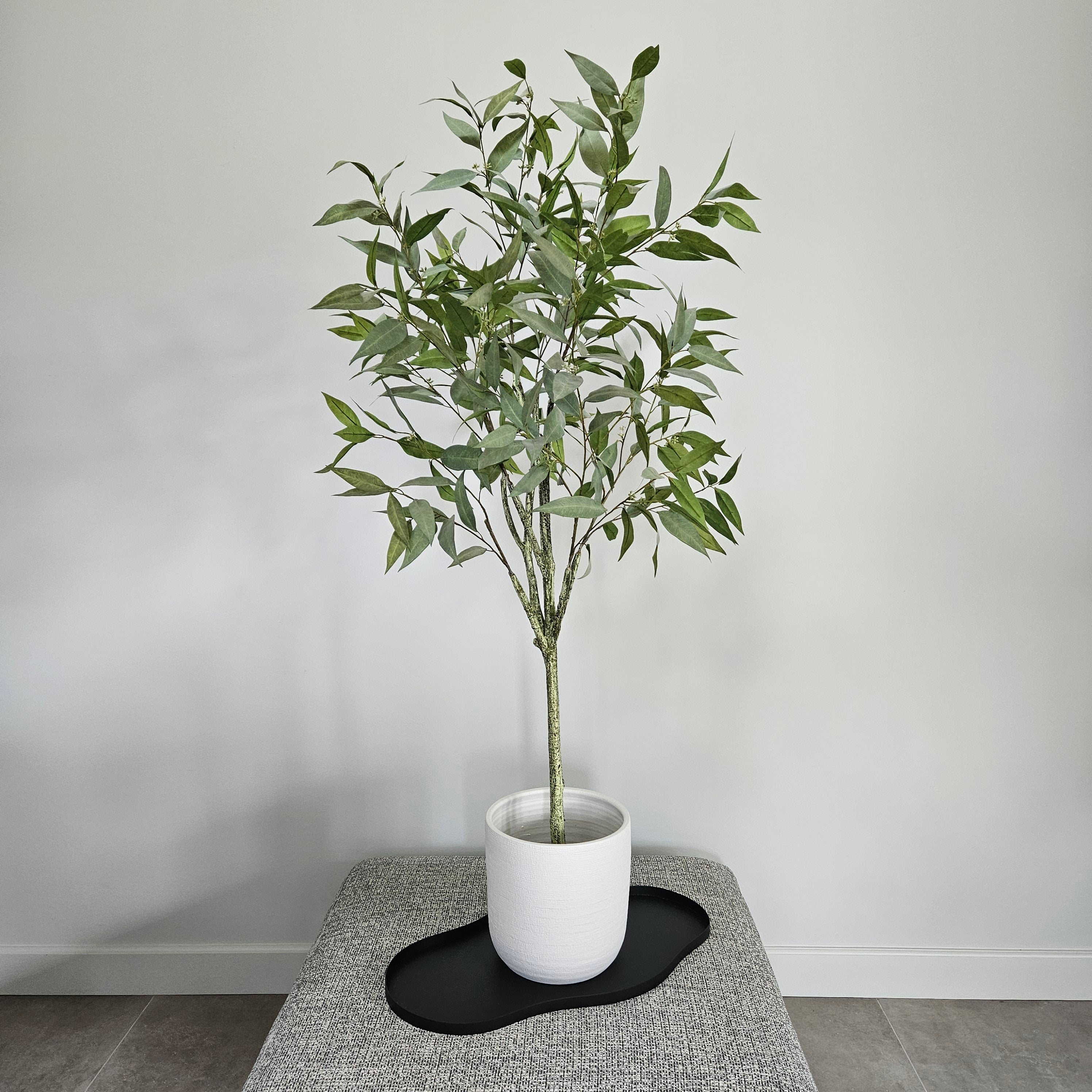 Groen & Pot Eucalyptusboom - Medium