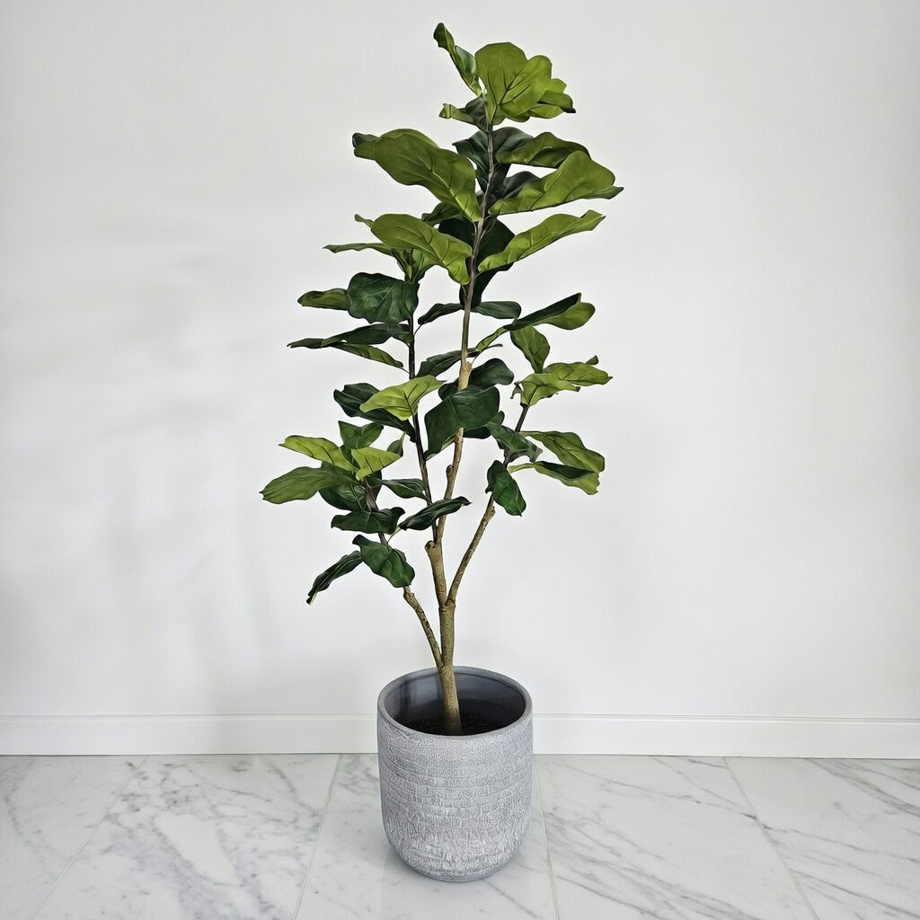 Groen & Pot Ficus - Medium