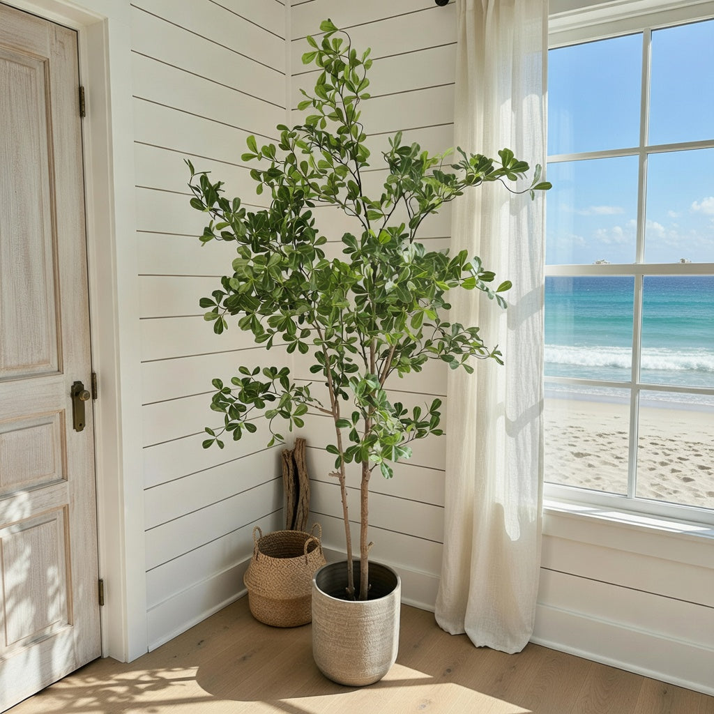 Groen & Pot Terminalia - Large