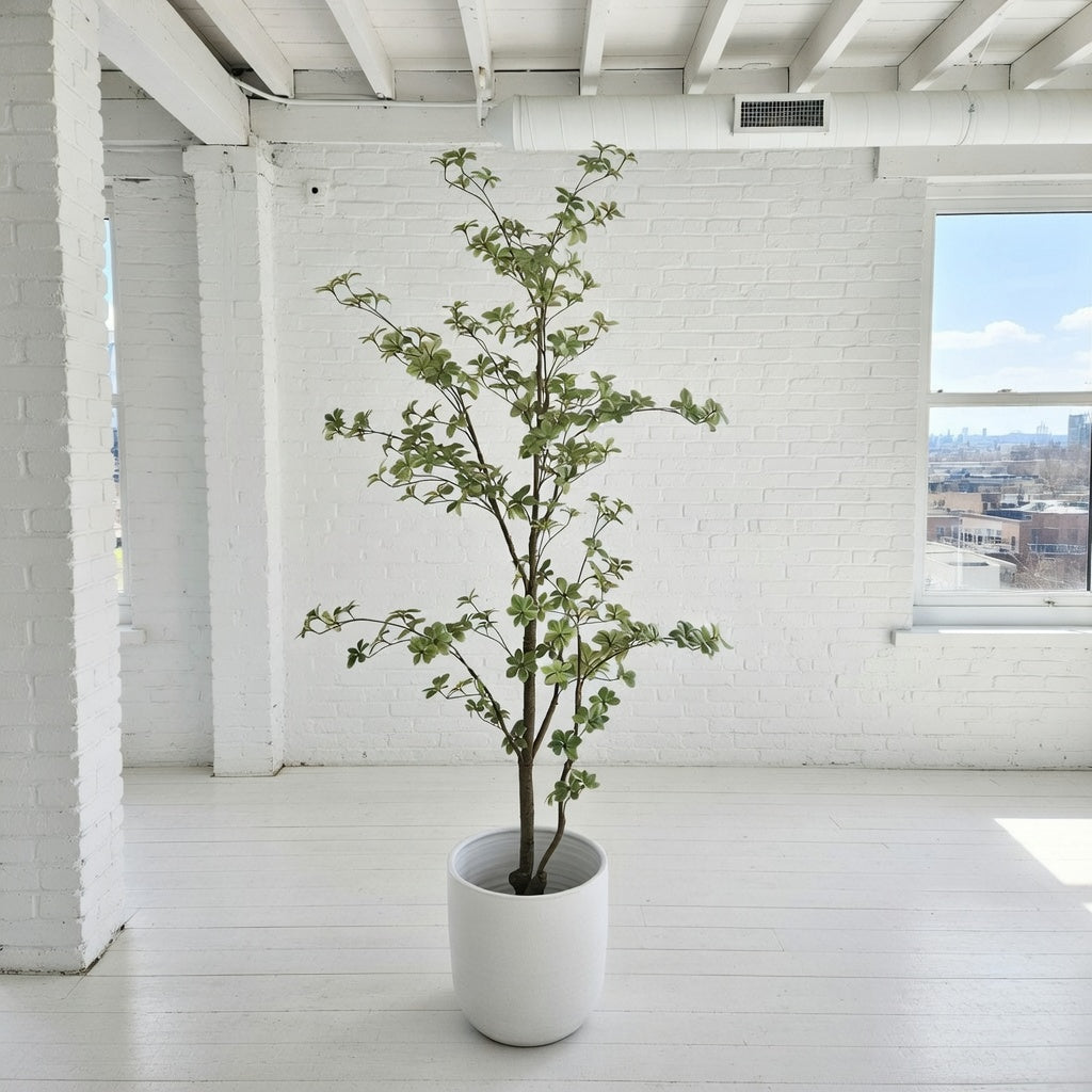 Groen & Pot Tropaeolum - Large