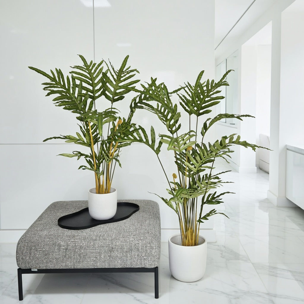 Groen & Pot Varen - Large