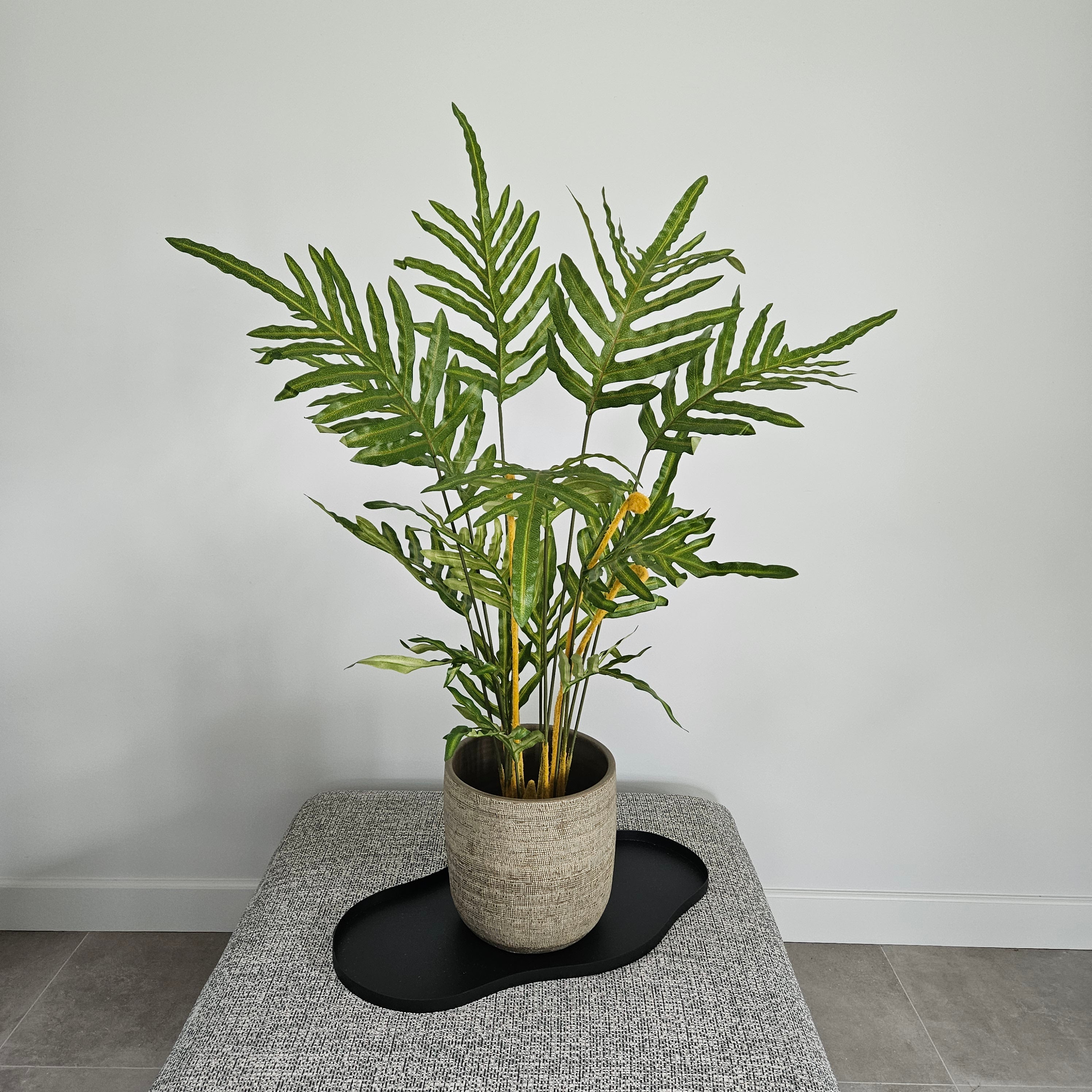 Groen & Pot Varen - Medium