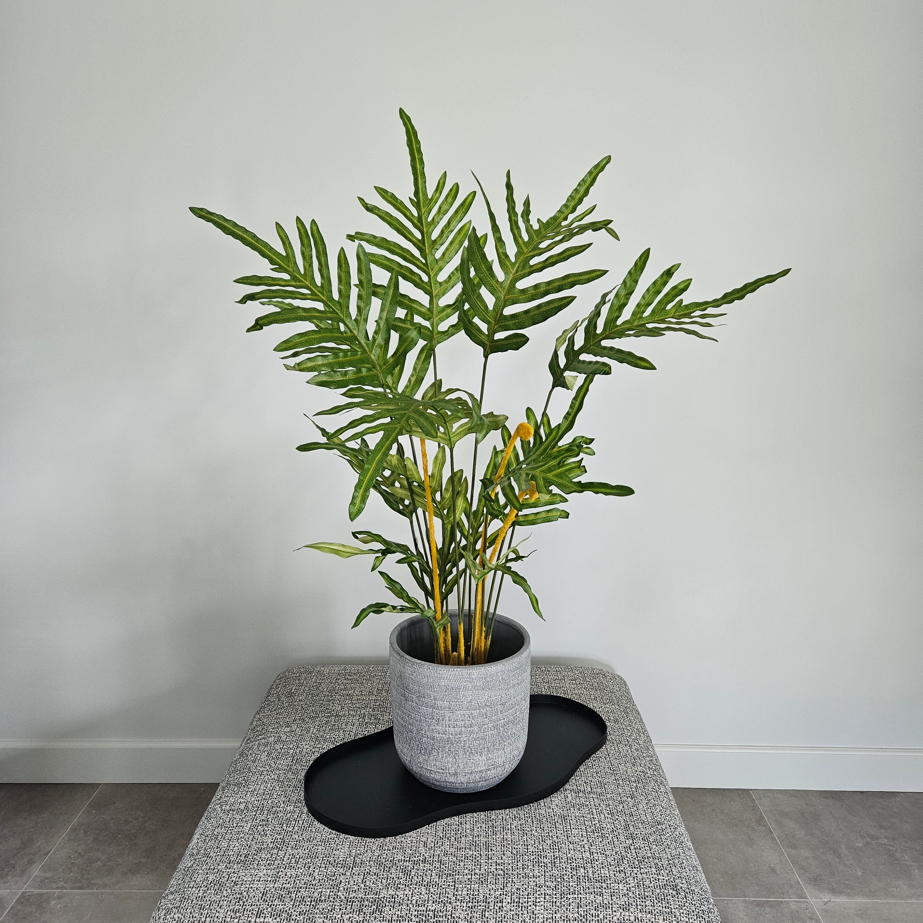 Groen & Pot Varen - Medium