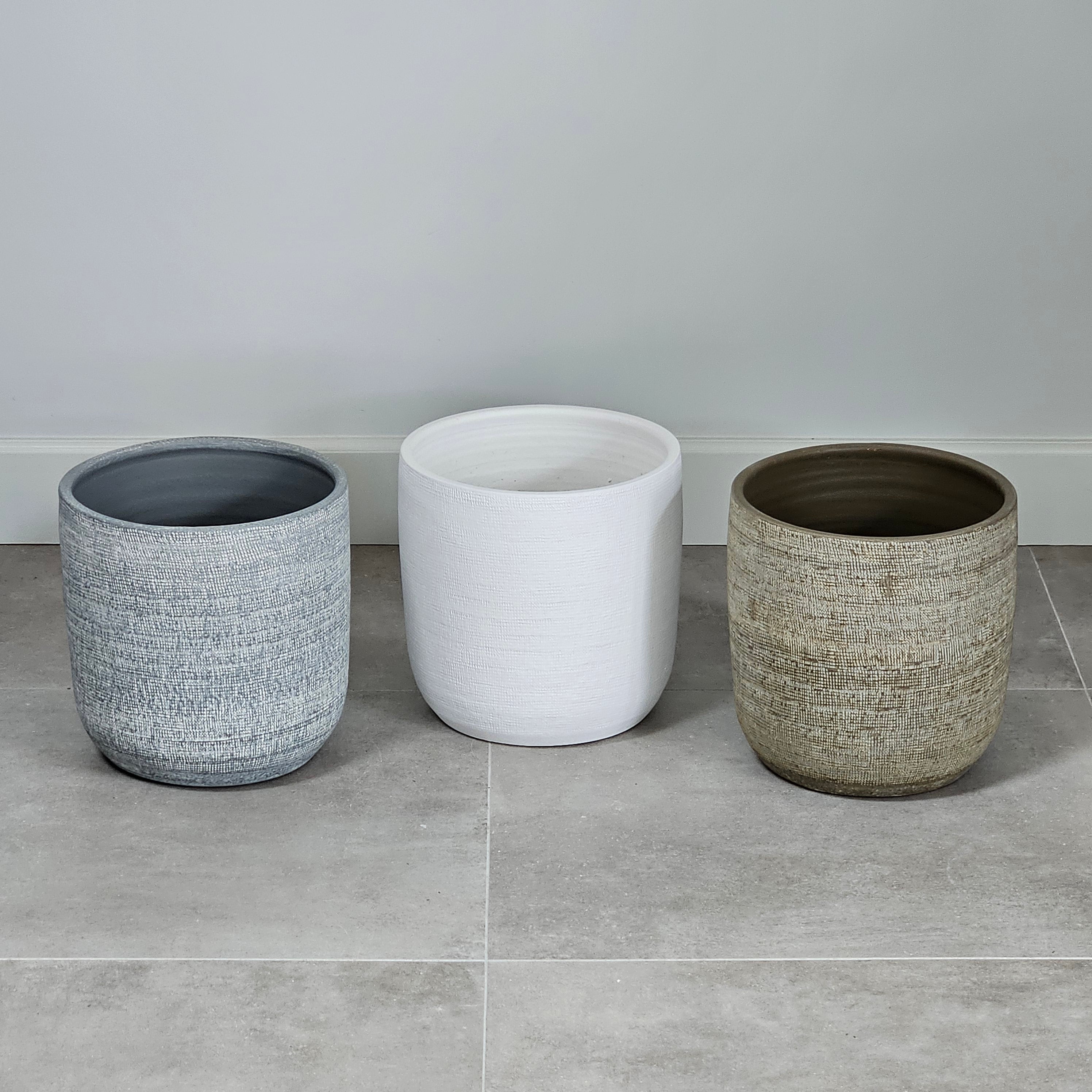 Groen & Pot Varen - Medium