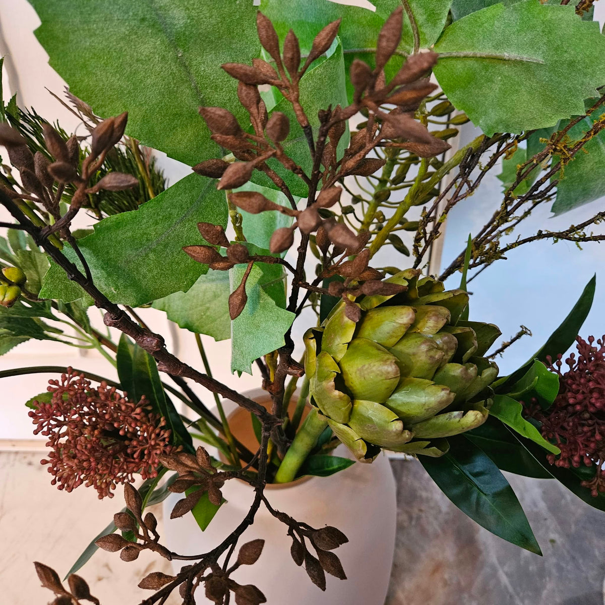Detail van de bladeren en bloemknoppen van Noma Sola